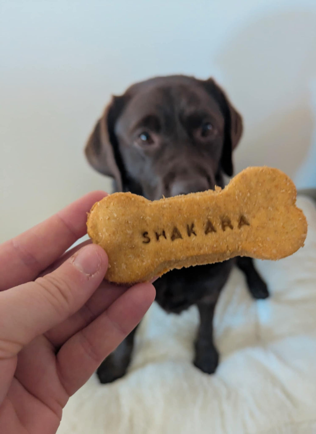Birthday Biscuit (personalised)