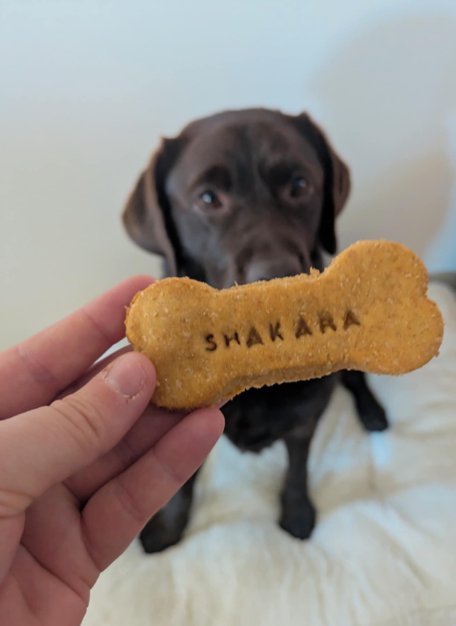 Birthday Biscuit (personalised)