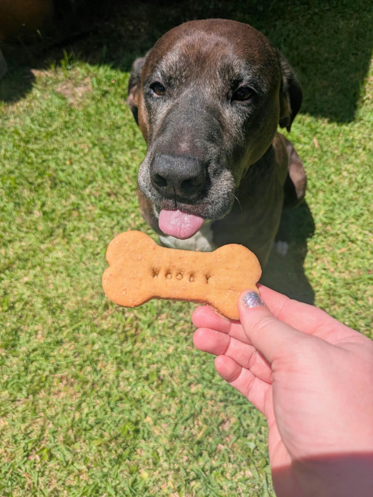 Birthday Biscuit (personalised)